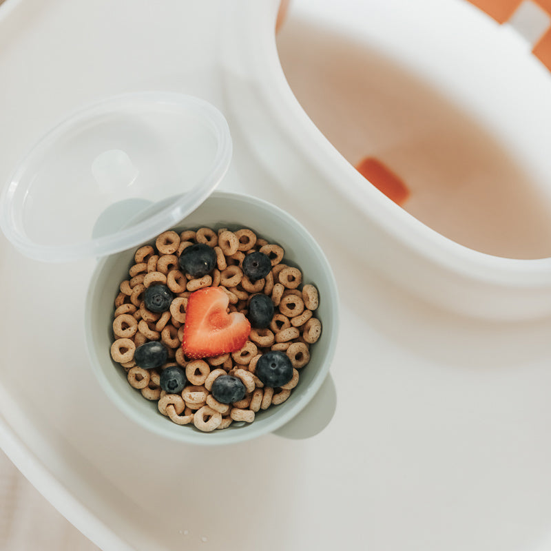 Baby Plate and Lidded Bowl Set (Pink)